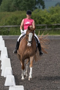 ISIS Dressage Challenge 2008